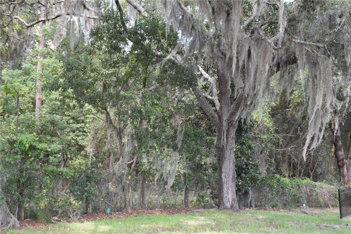 31328 SAND LAKE DRIVE — photo 10 of 11