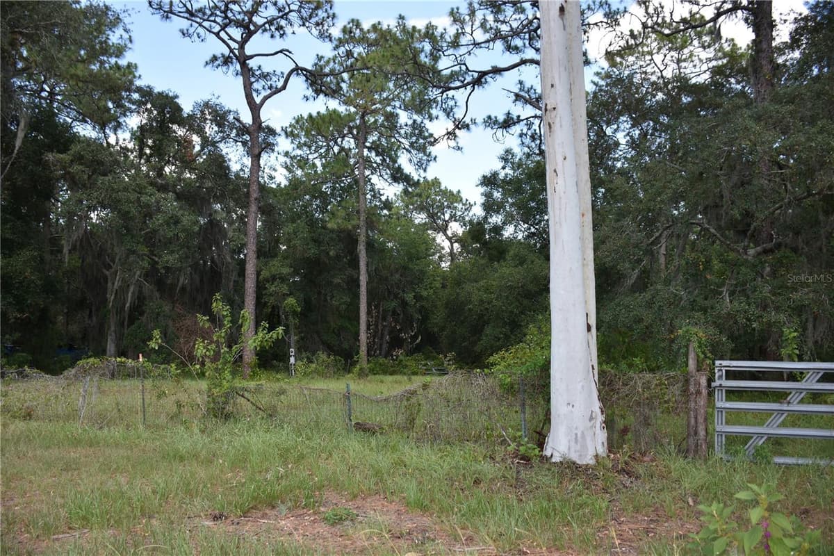 31328 SAND LAKE DRIVE — photo 3 of 11