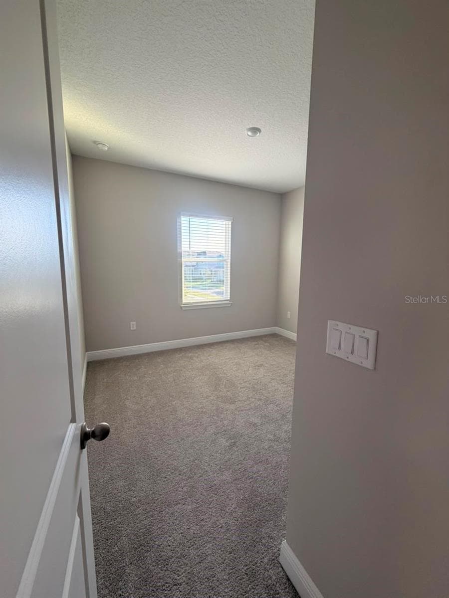 16968 HAMLIN OASIS LOOP — photo 25 of 35