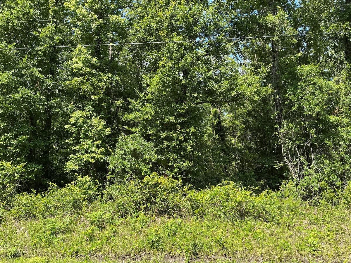 10135 MCMAHON AVENUE — photo 1 of 7