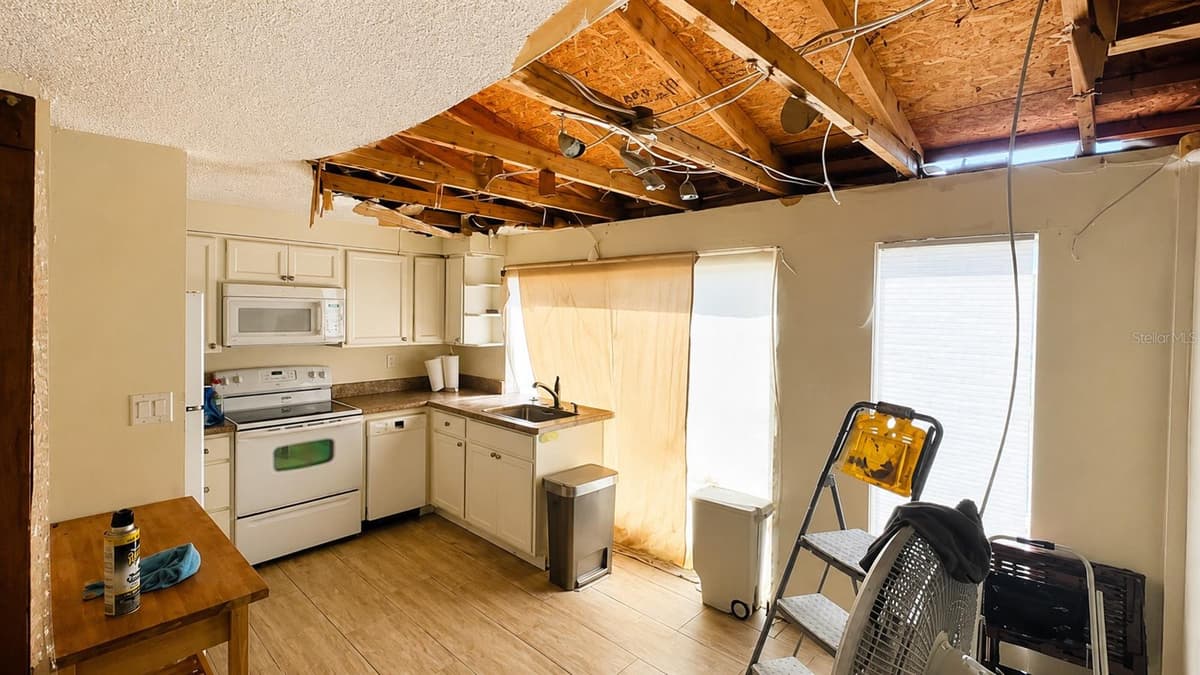 2404 ABSCOTT STREET — photo 3 of 4