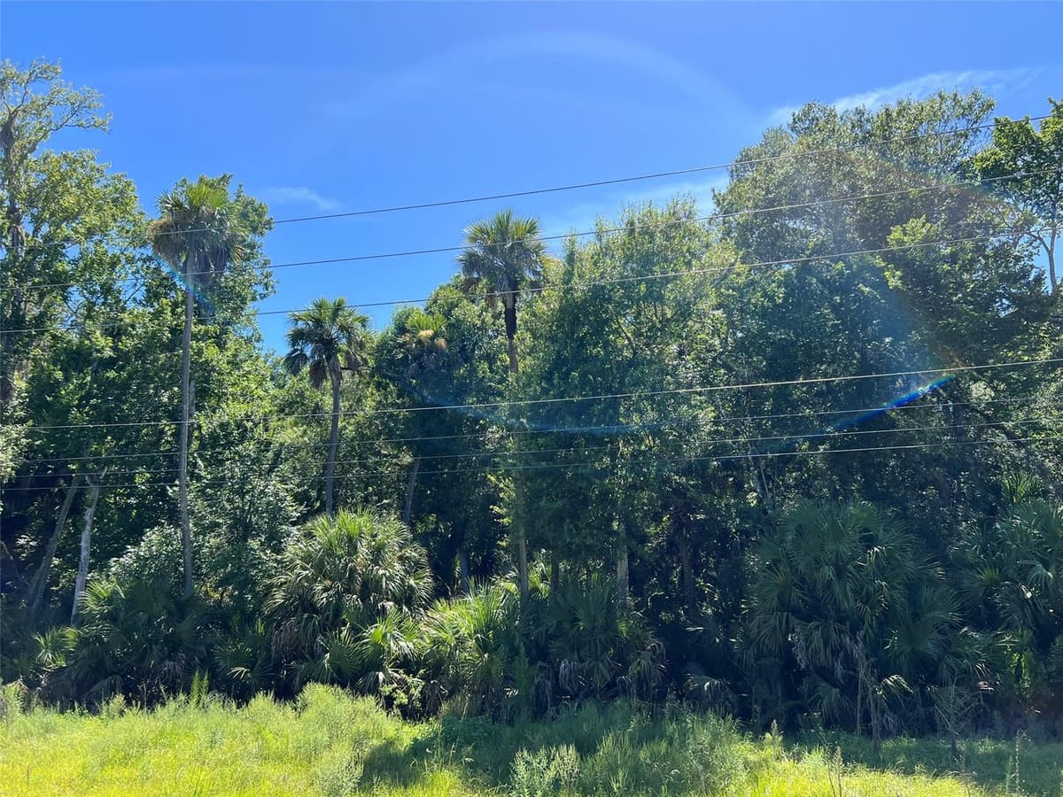 OLD MISSION ROAD — photo 11 of 17
