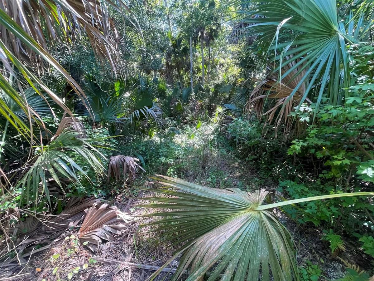 OLD MISSION ROAD — photo 15 of 17