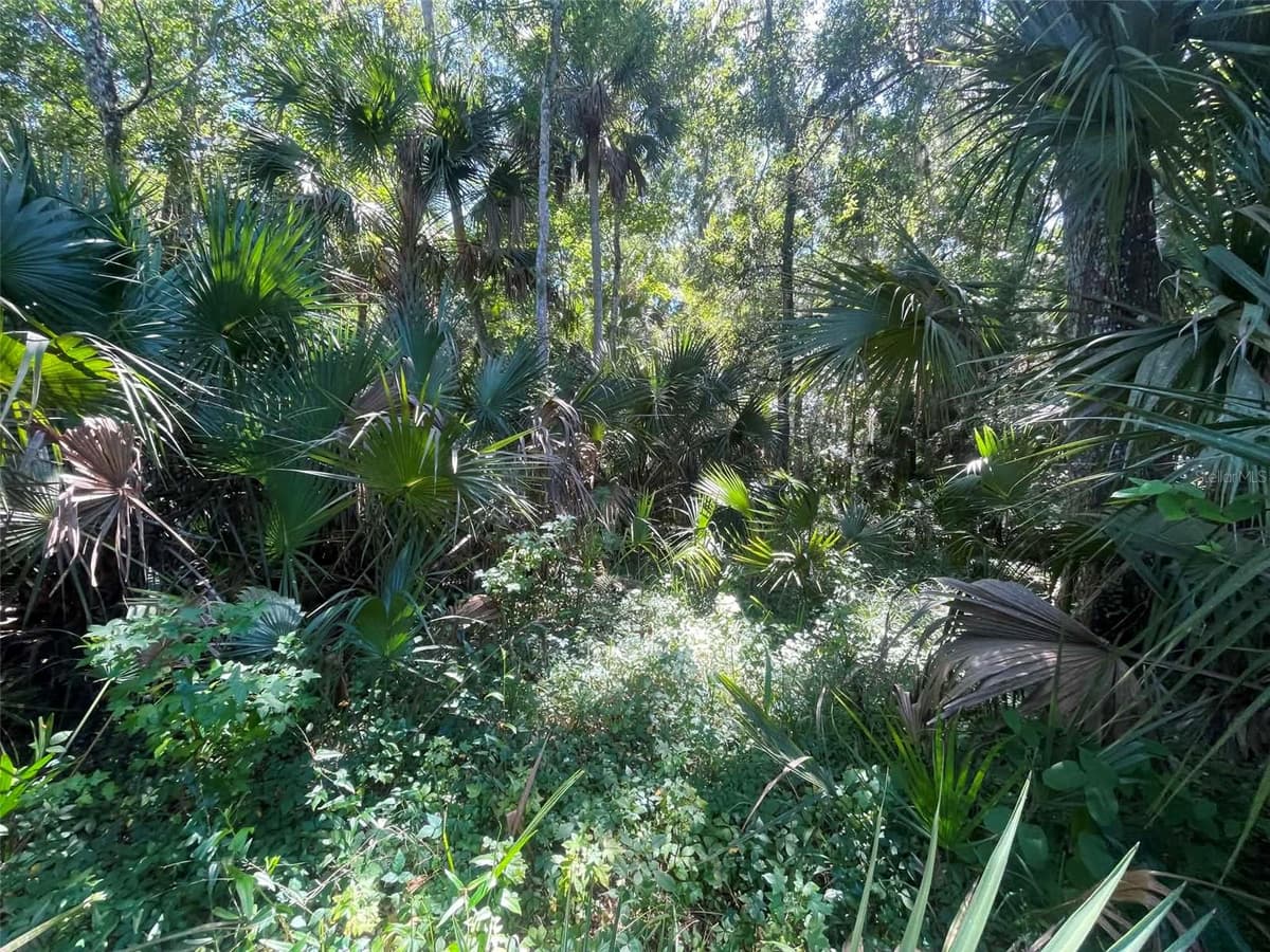 OLD MISSION ROAD — photo 16 of 17