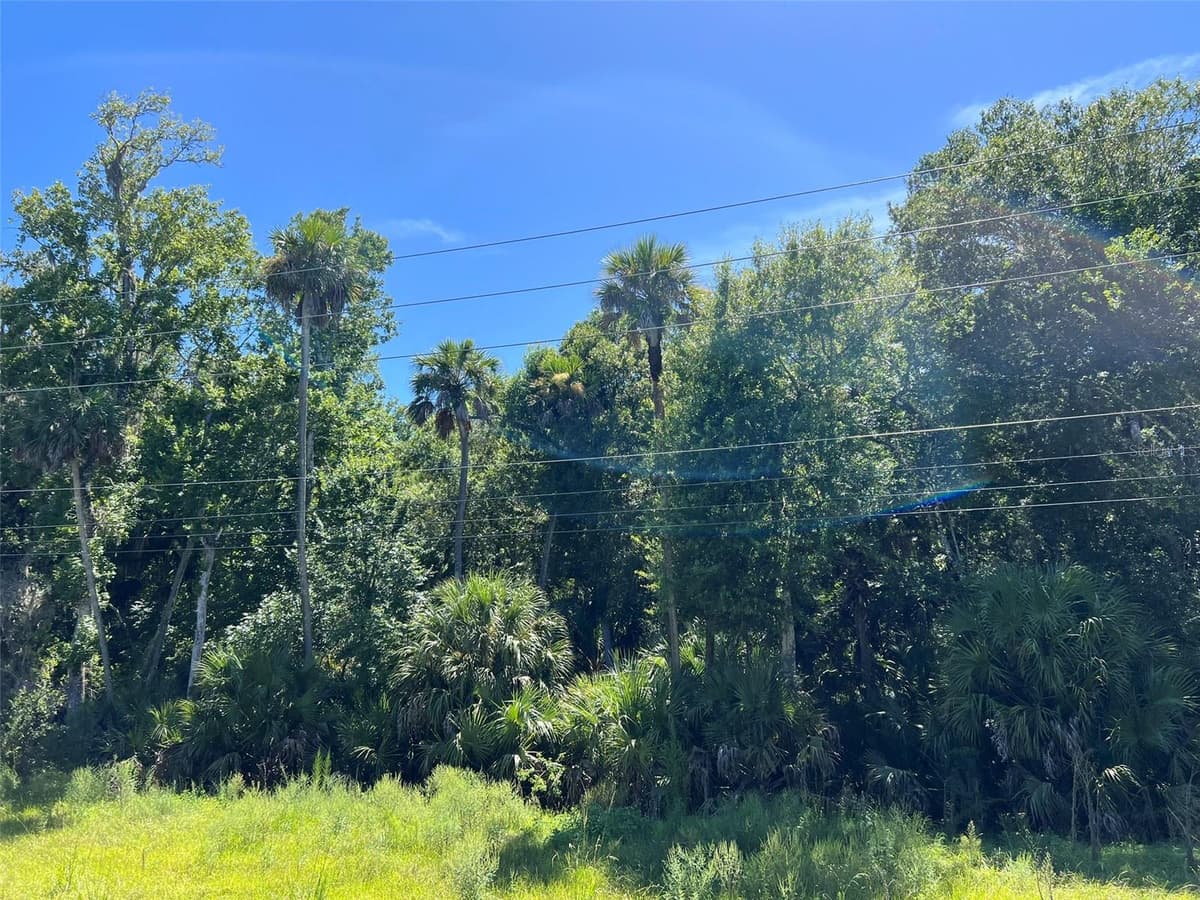 OLD MISSION ROAD — photo 10 of 17