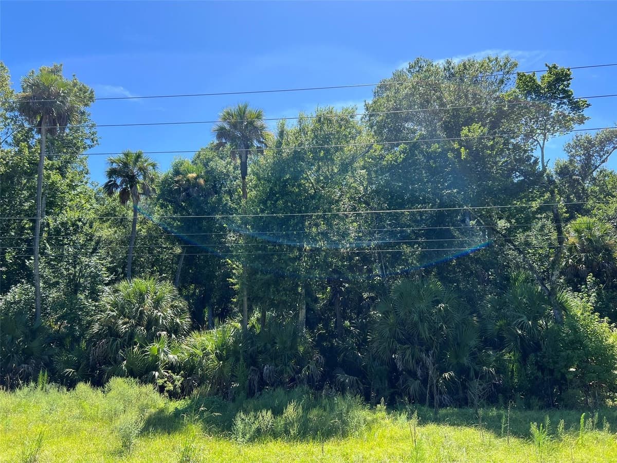 OLD MISSION ROAD — photo 8 of 17