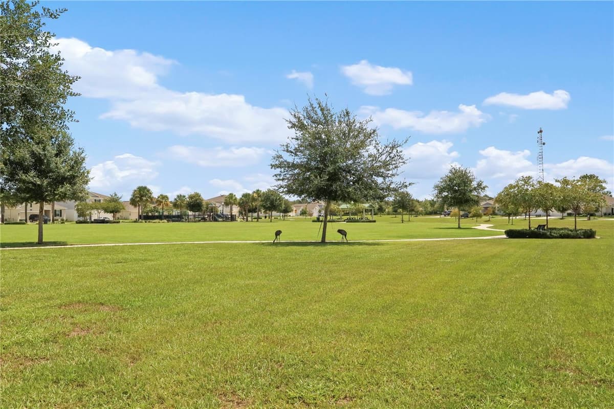 33571 SKY BLOSSOM CIRCLE — photo 54 of 54
