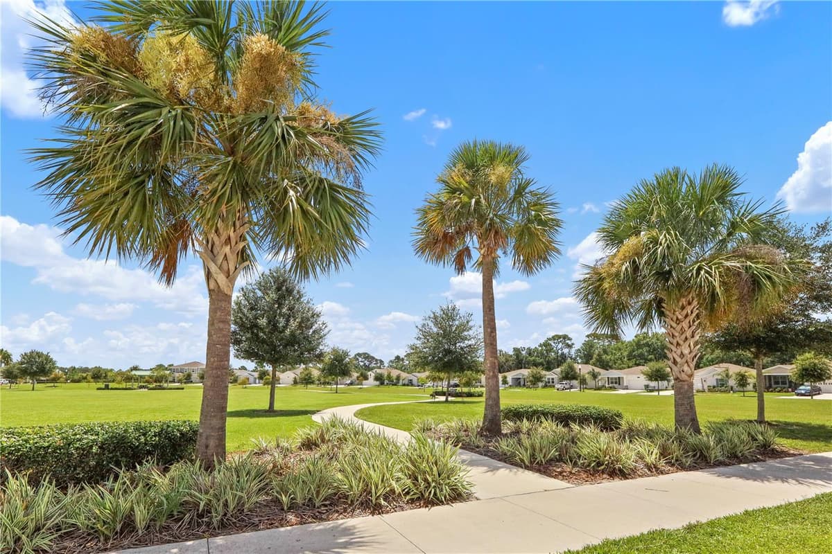 33571 SKY BLOSSOM CIRCLE — photo 52 of 54