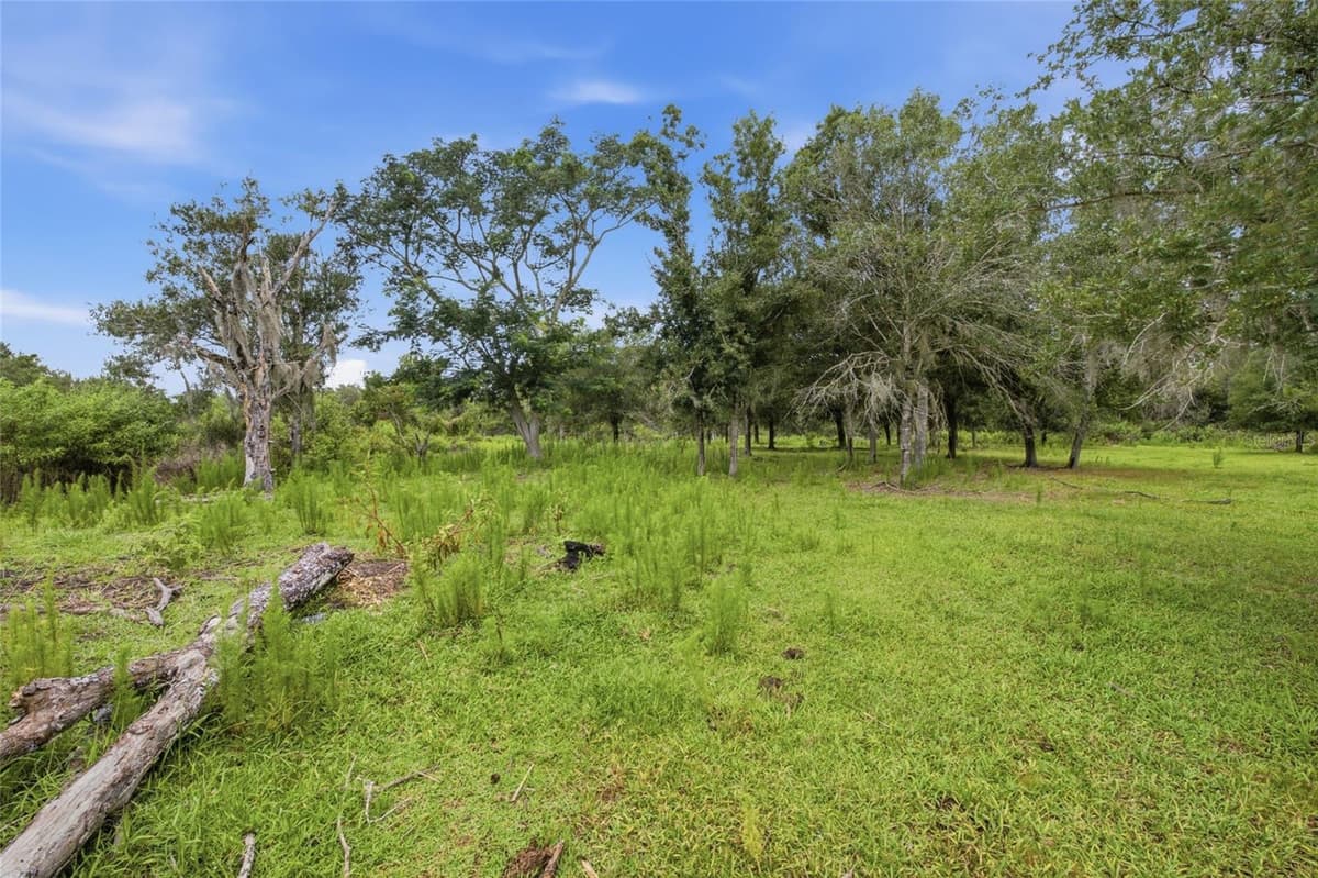 10066 MIZELL ROAD — photo 60 of 76