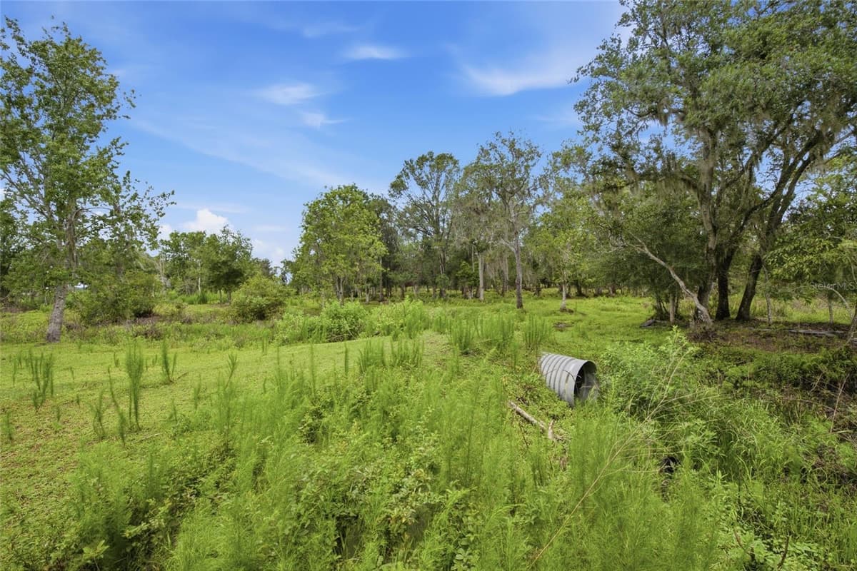 10066 MIZELL ROAD — photo 56 of 76