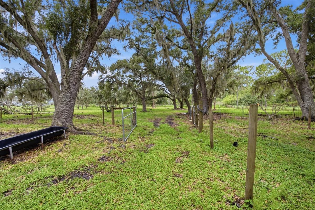 10066 MIZELL ROAD — photo 59 of 76