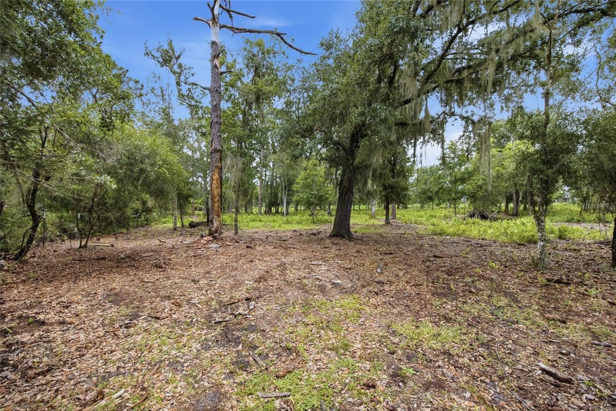 10066 MIZELL ROAD — photo 55 of 76