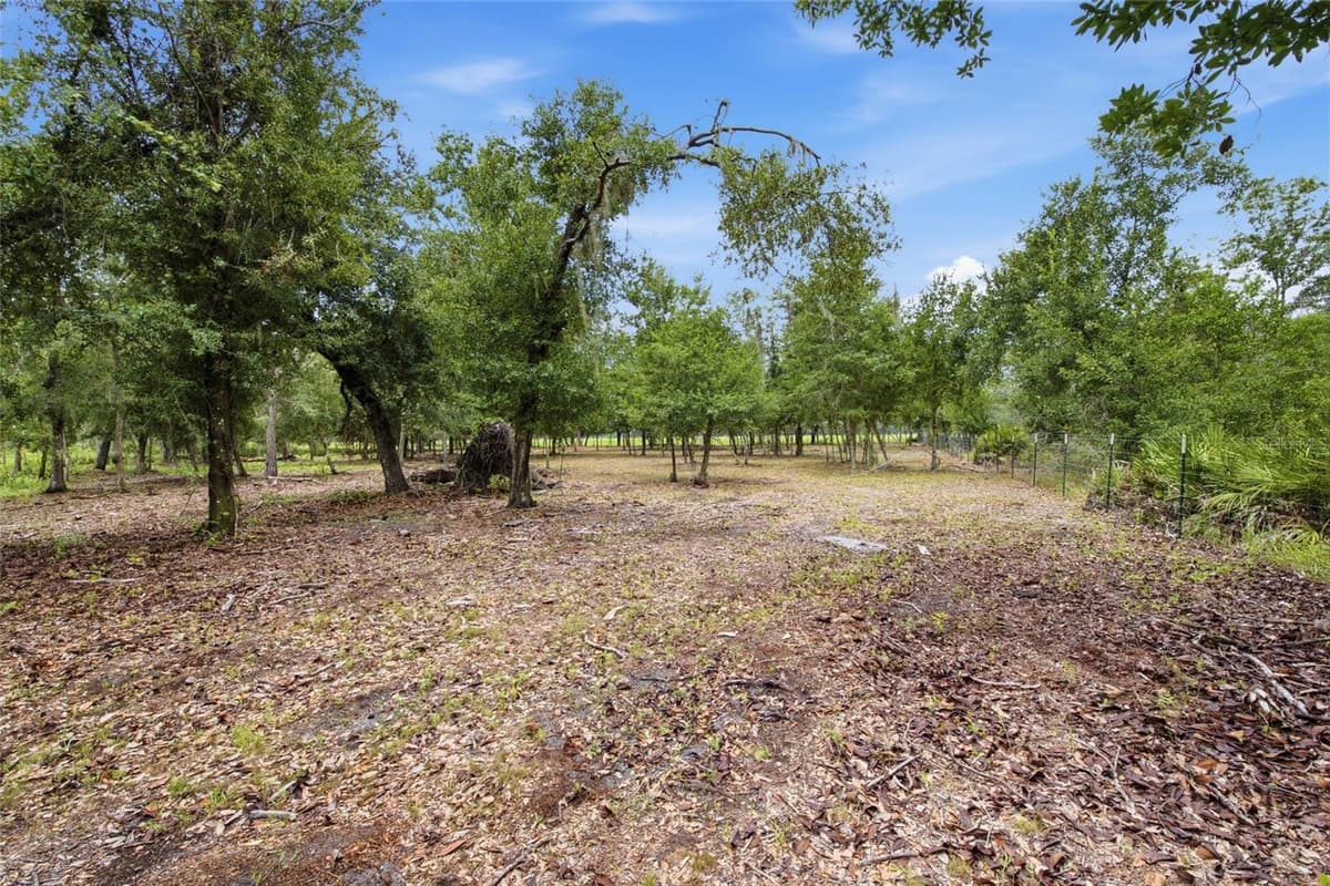 10066 MIZELL ROAD — photo 54 of 76