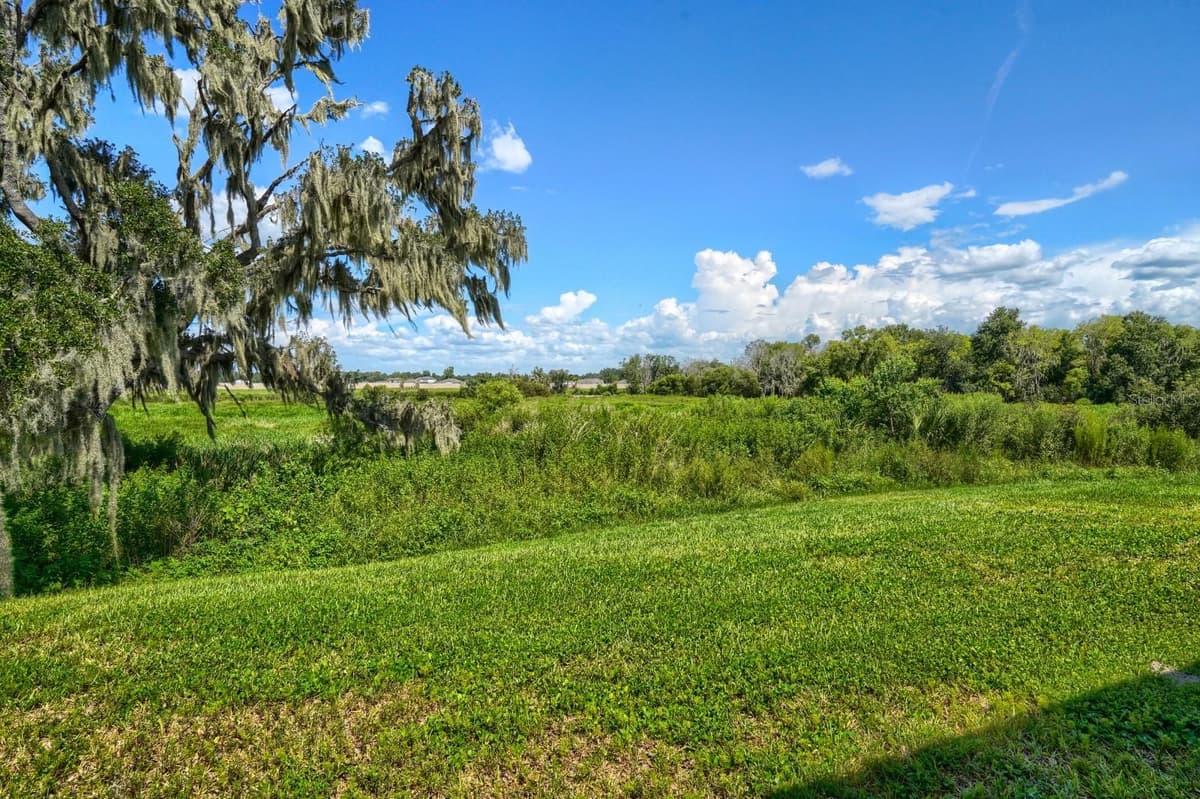 2332 CITRUS BLOOM DRIVE — photo 32 of 34