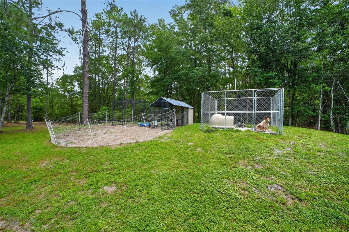 2527 COUNTY ROAD 225 — photo 70 of 93