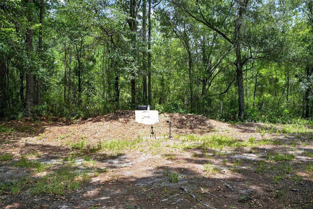2527 COUNTY ROAD 225 — photo 63 of 93