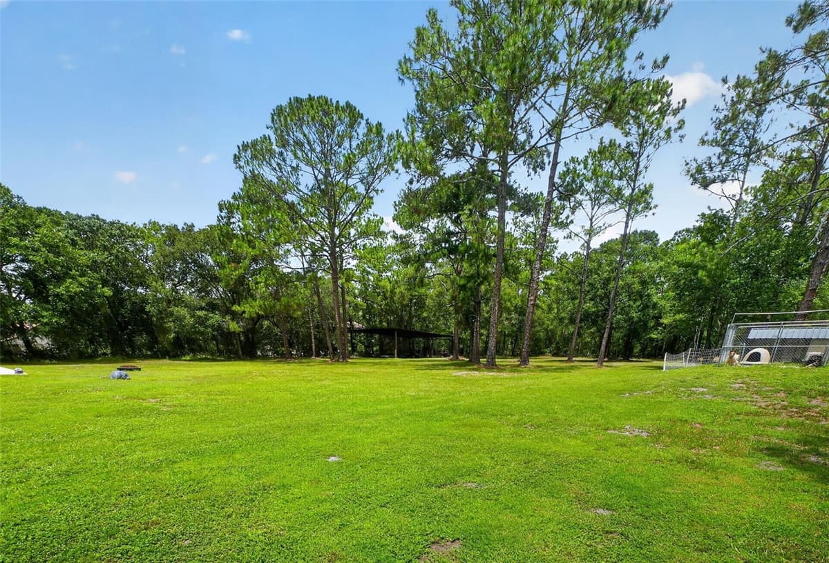 2527 COUNTY ROAD 225 — photo 72 of 93
