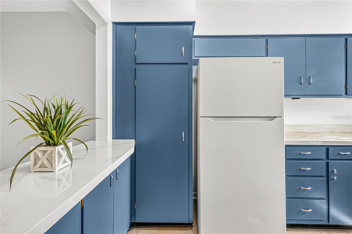 223 WINDSOR STREET — photo 4 of 23