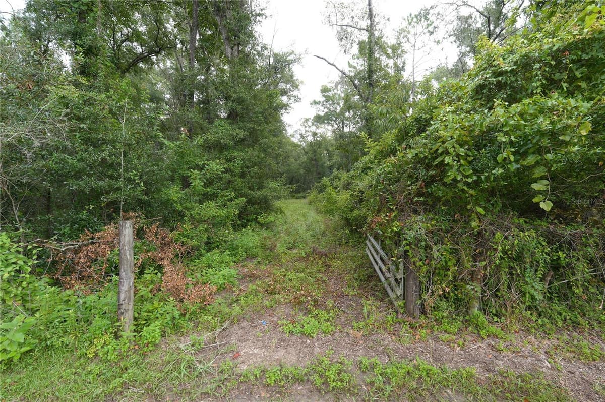 13205 CRATER TERRACE — photo 4 of 19