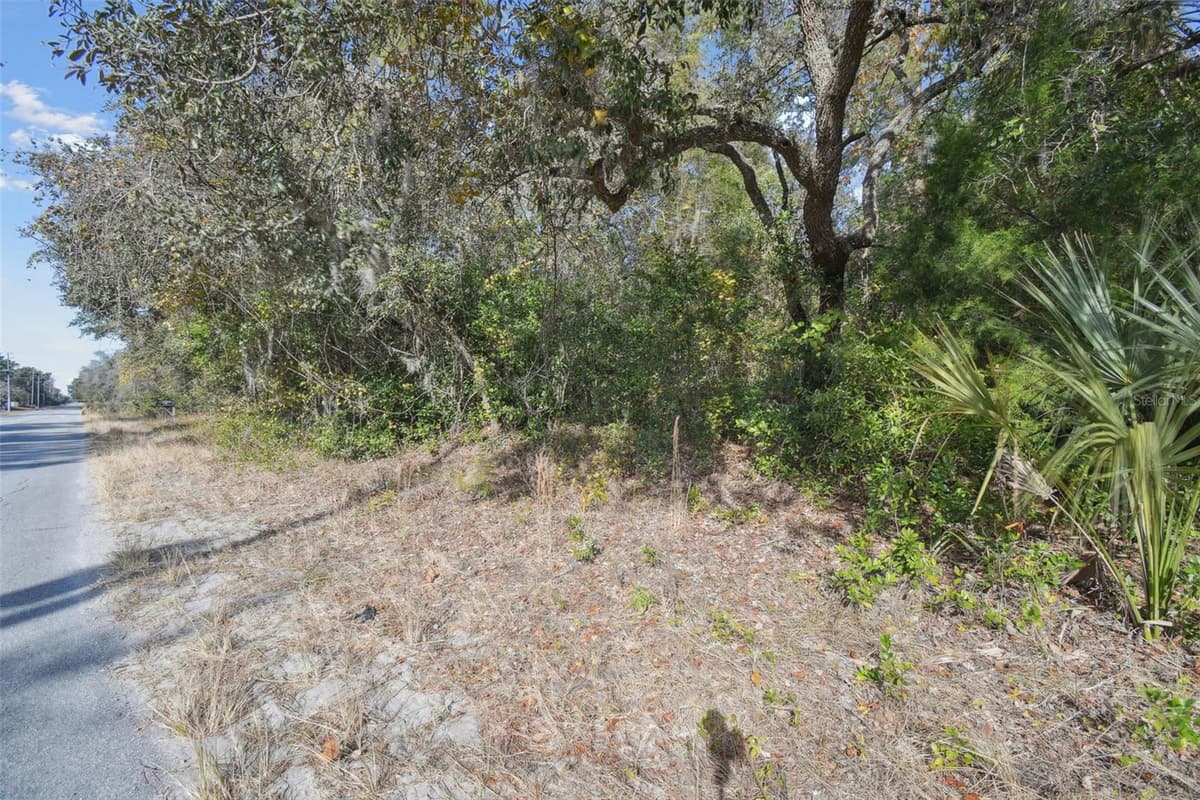 LITTLE RANCH ROAD — photo 44 of 47