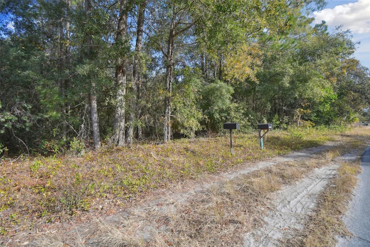 LITTLE RANCH ROAD — photo 46 of 47