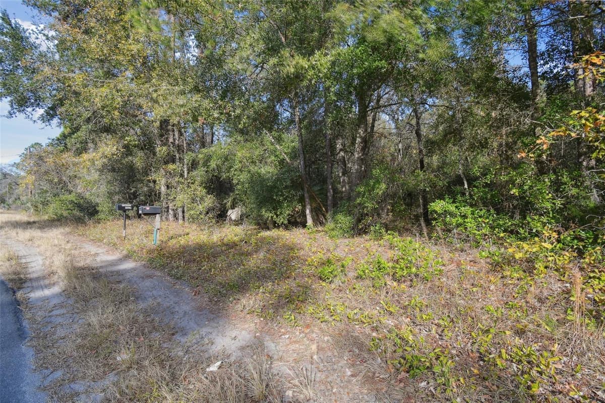 LITTLE RANCH ROAD — photo 45 of 47