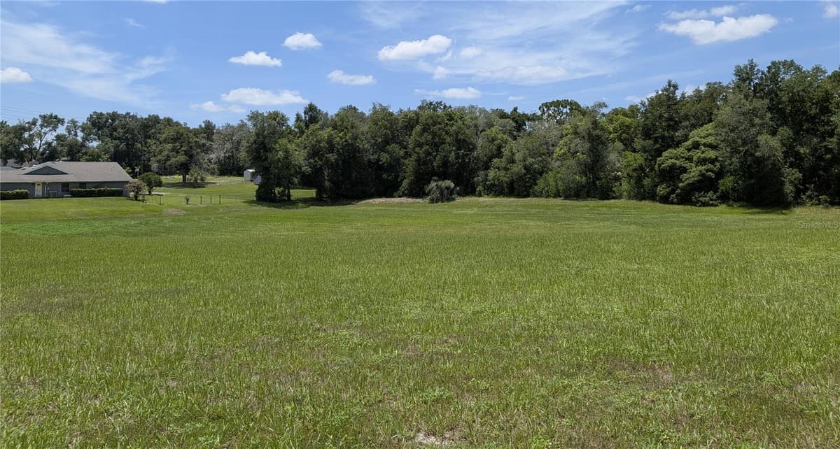 2041 CROWLEY CIRCLE — photo 48 of 51