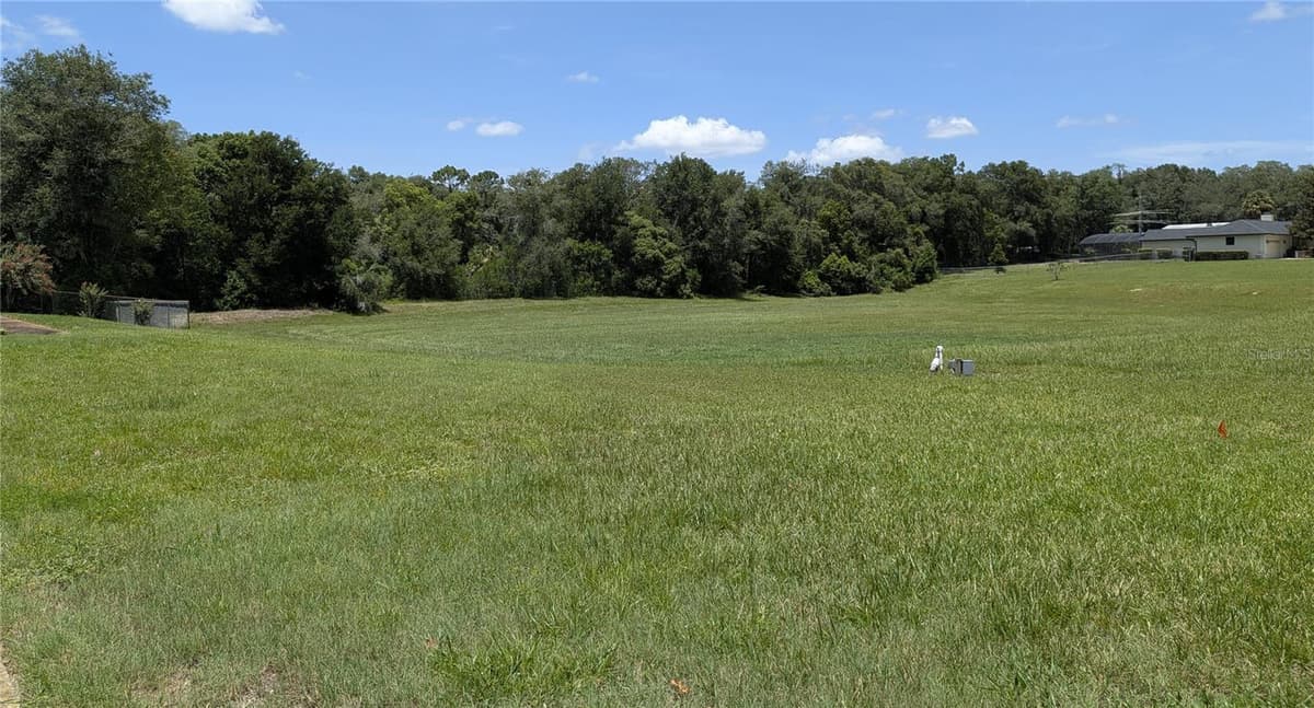 2041 CROWLEY CIRCLE — photo 47 of 51