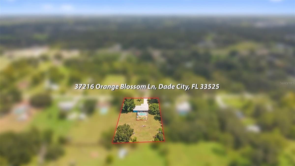 37216 ORANGE BLOSSOM LANE — photo 47 of 60