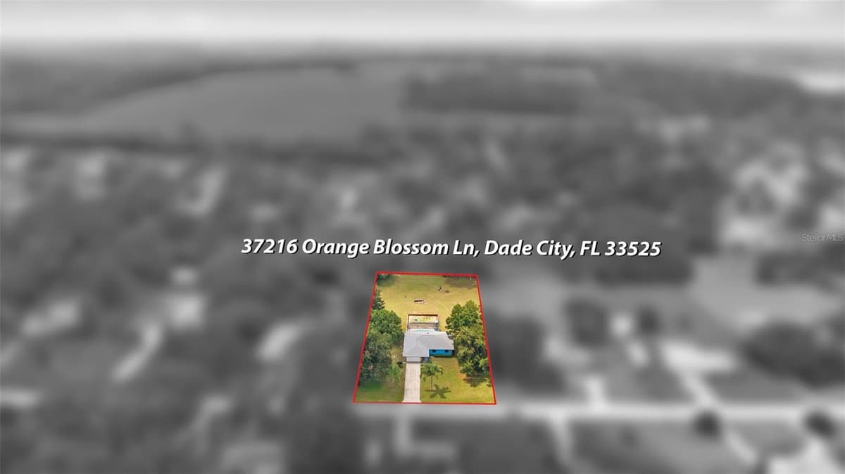 37216 ORANGE BLOSSOM LANE — photo 52 of 60