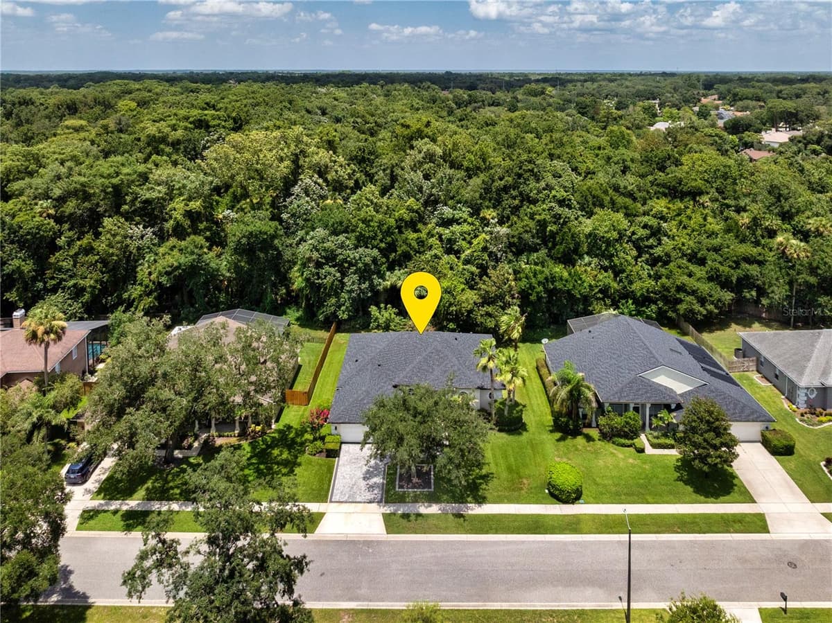 223 BLUE CREEK DRIVE — photo 48 of 50