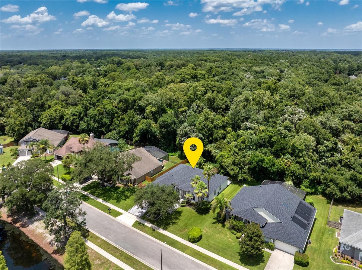 223 BLUE CREEK DRIVE — photo 3 of 50