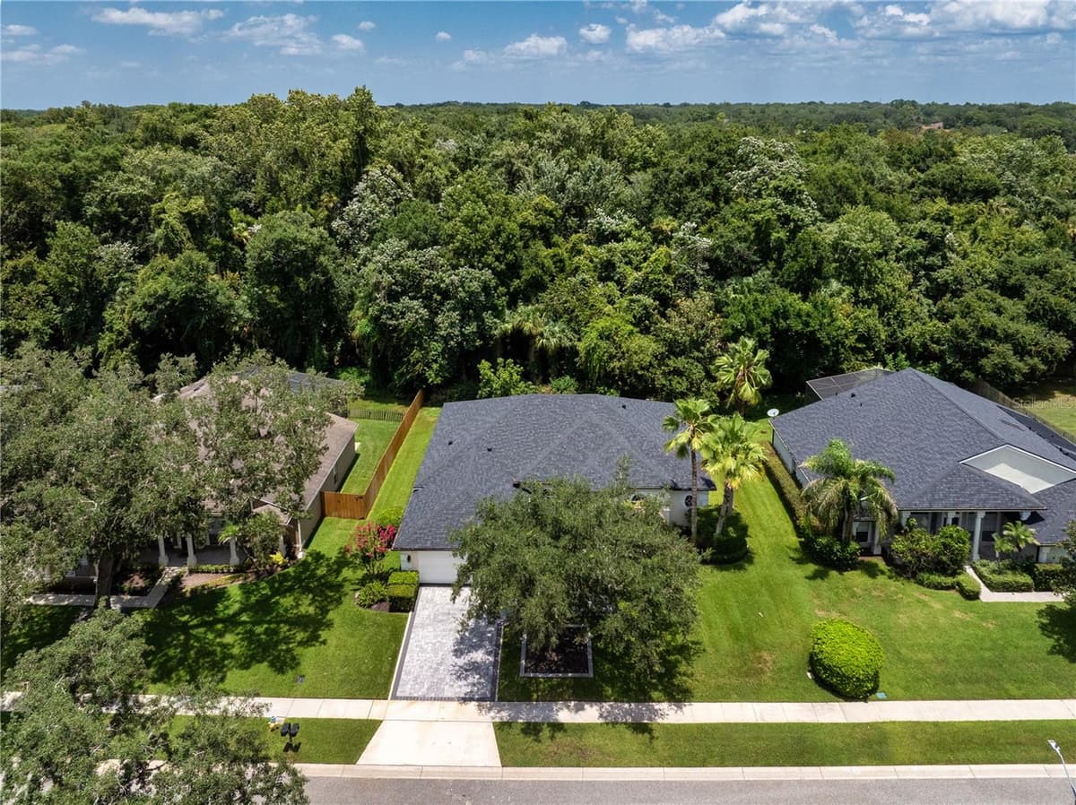 223 BLUE CREEK DRIVE — photo 41 of 50