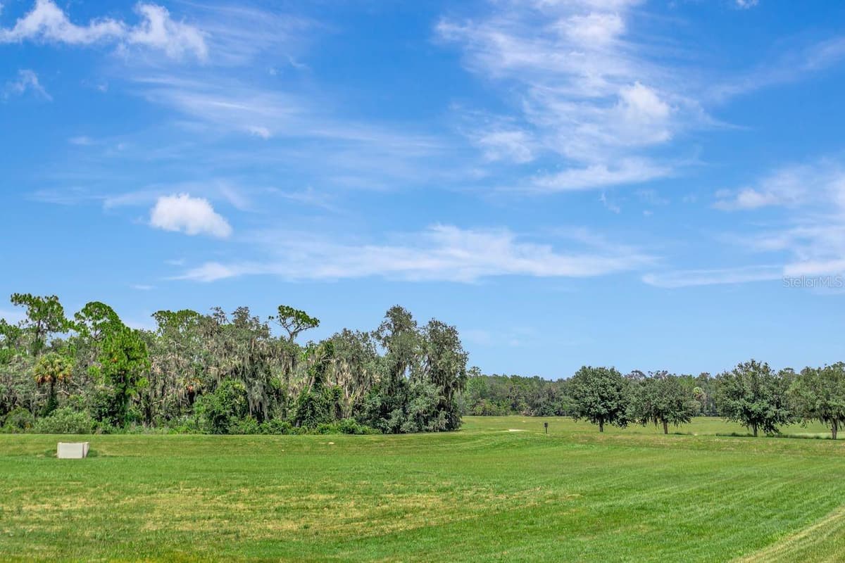14922 FISHHAWK PRESERVE DRIVE — photo 57 of 77