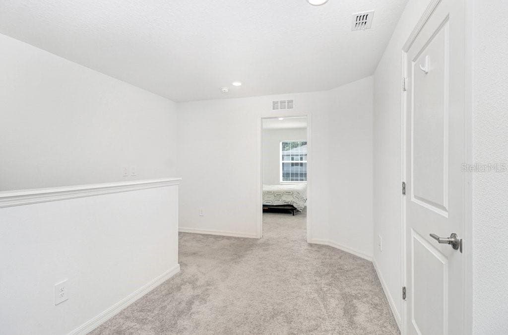 10263 TRUMPET HONETSUCKLE WAY — photo 19 of 39