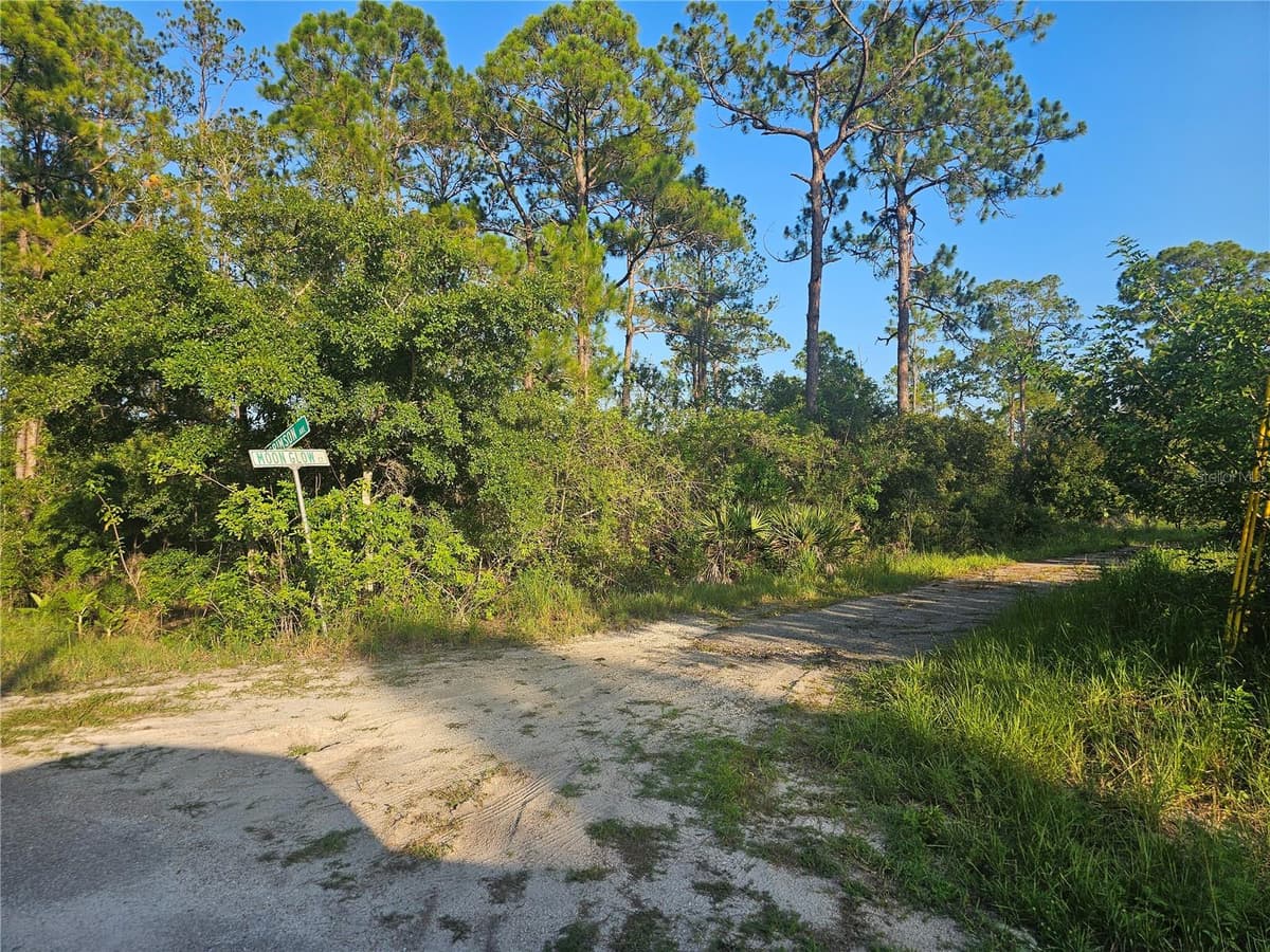 233 MOON GLOW COURT — photo 10 of 11