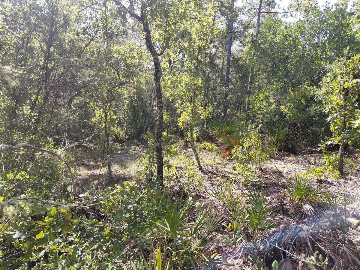 WHEYSTONE DRIVE — photo 10 of 21
