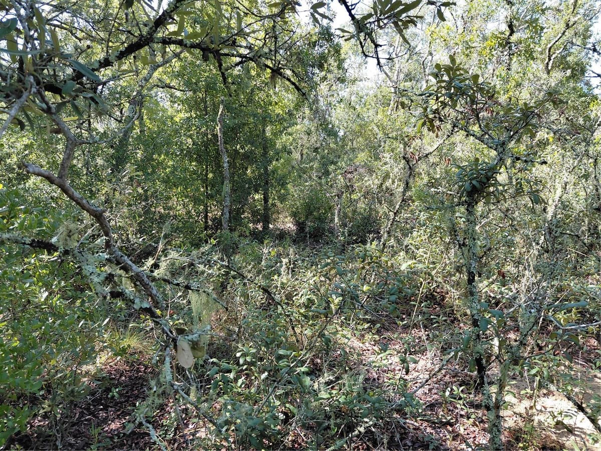 WHEYSTONE DRIVE — photo 7 of 21