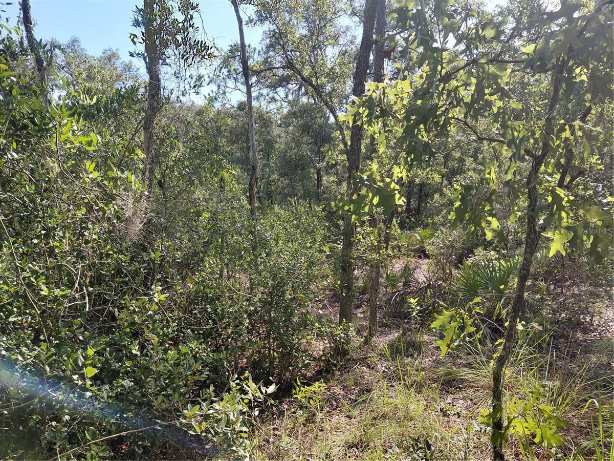 WHEYSTONE DRIVE — photo 13 of 21