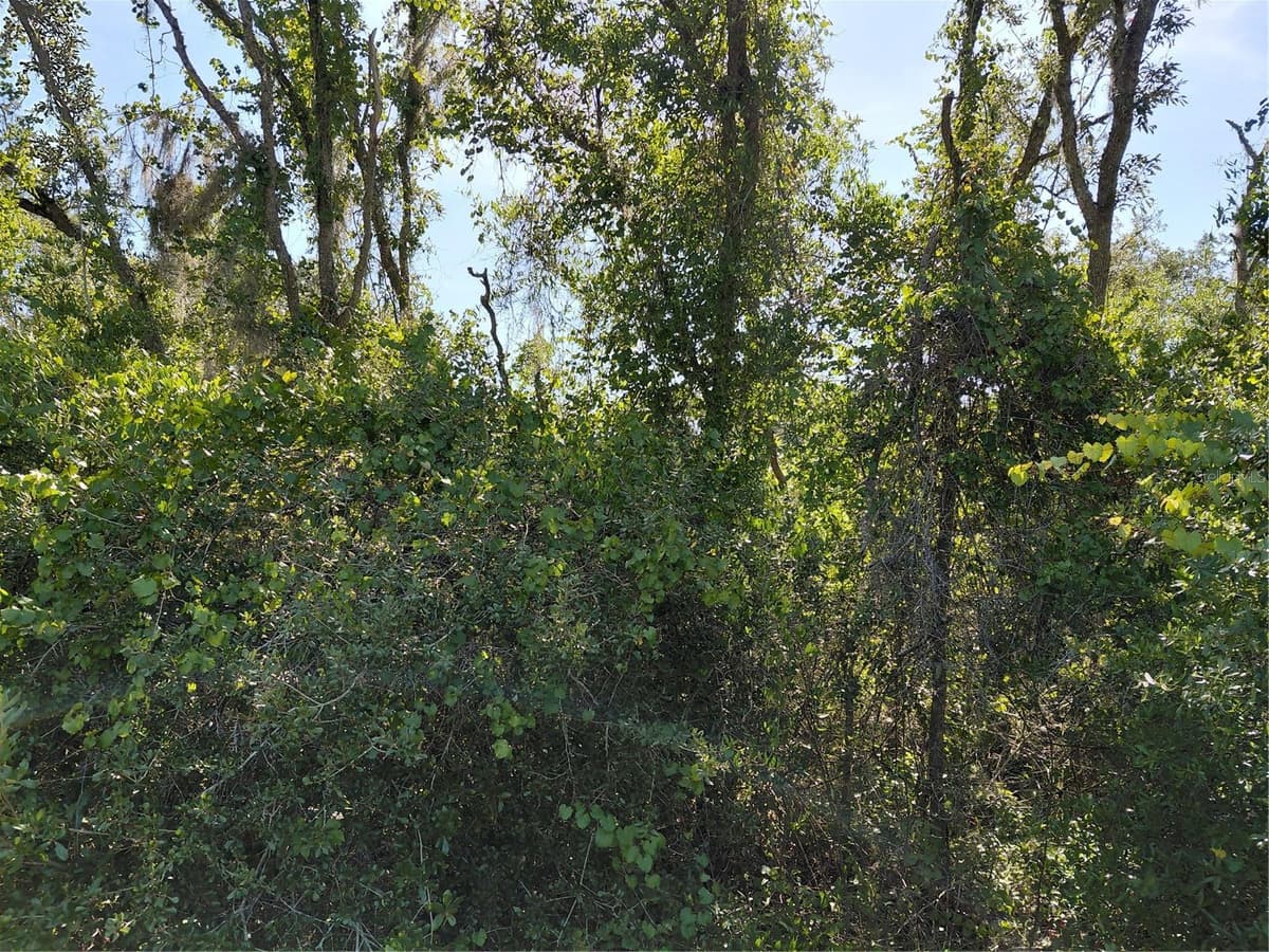 WHEYSTONE DRIVE — photo 4 of 21