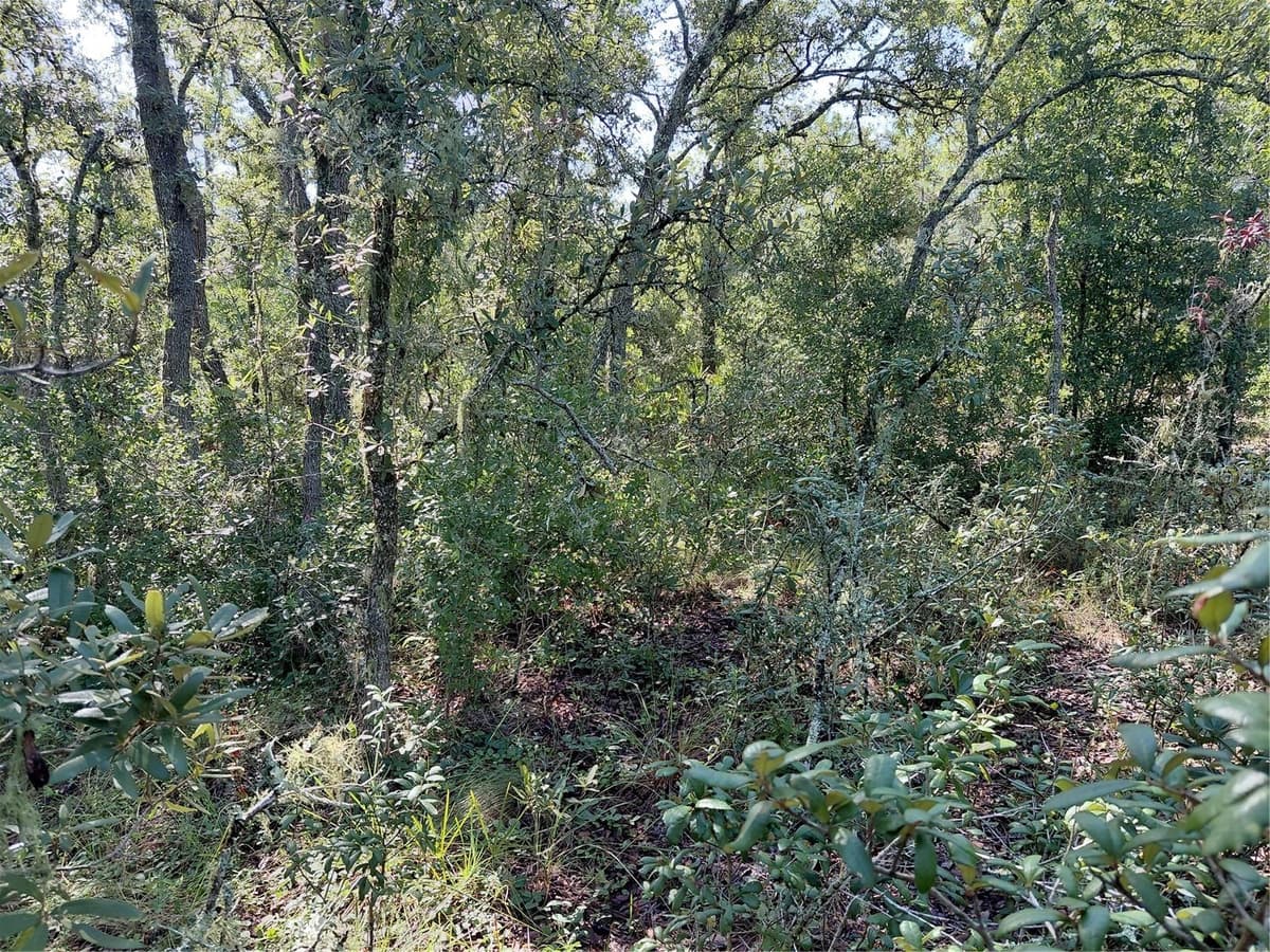 WHEYSTONE DRIVE — photo 16 of 21