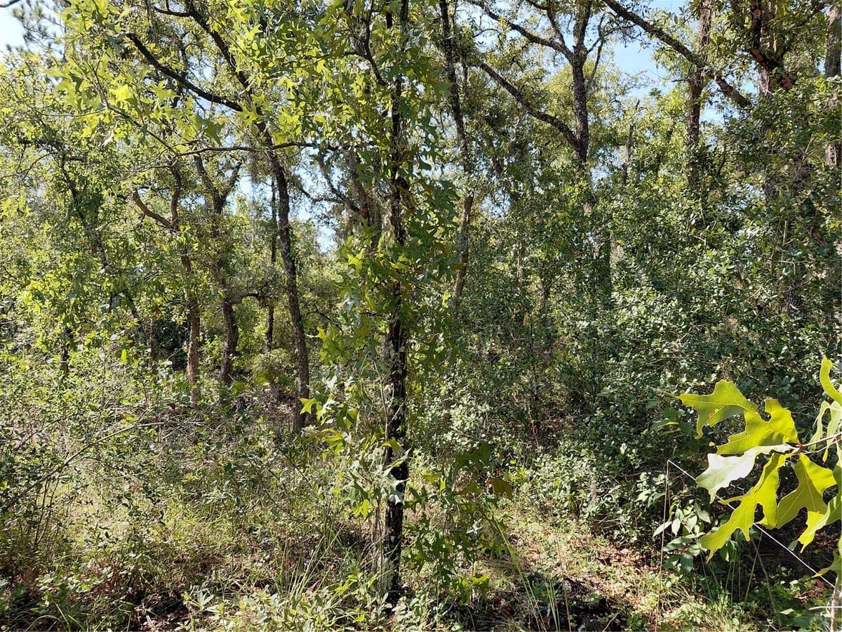 WHEYSTONE DRIVE — photo 8 of 21