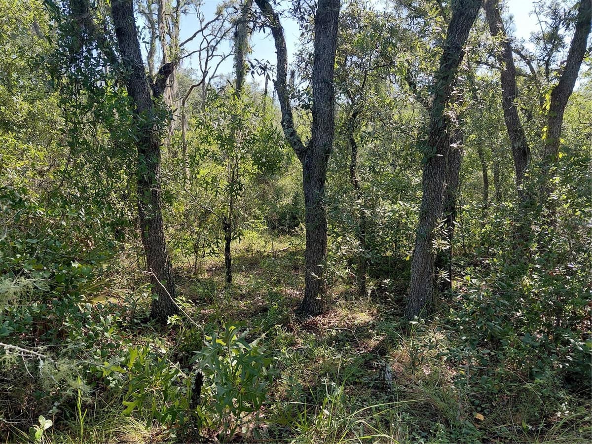 WHEYSTONE DRIVE — photo 15 of 21