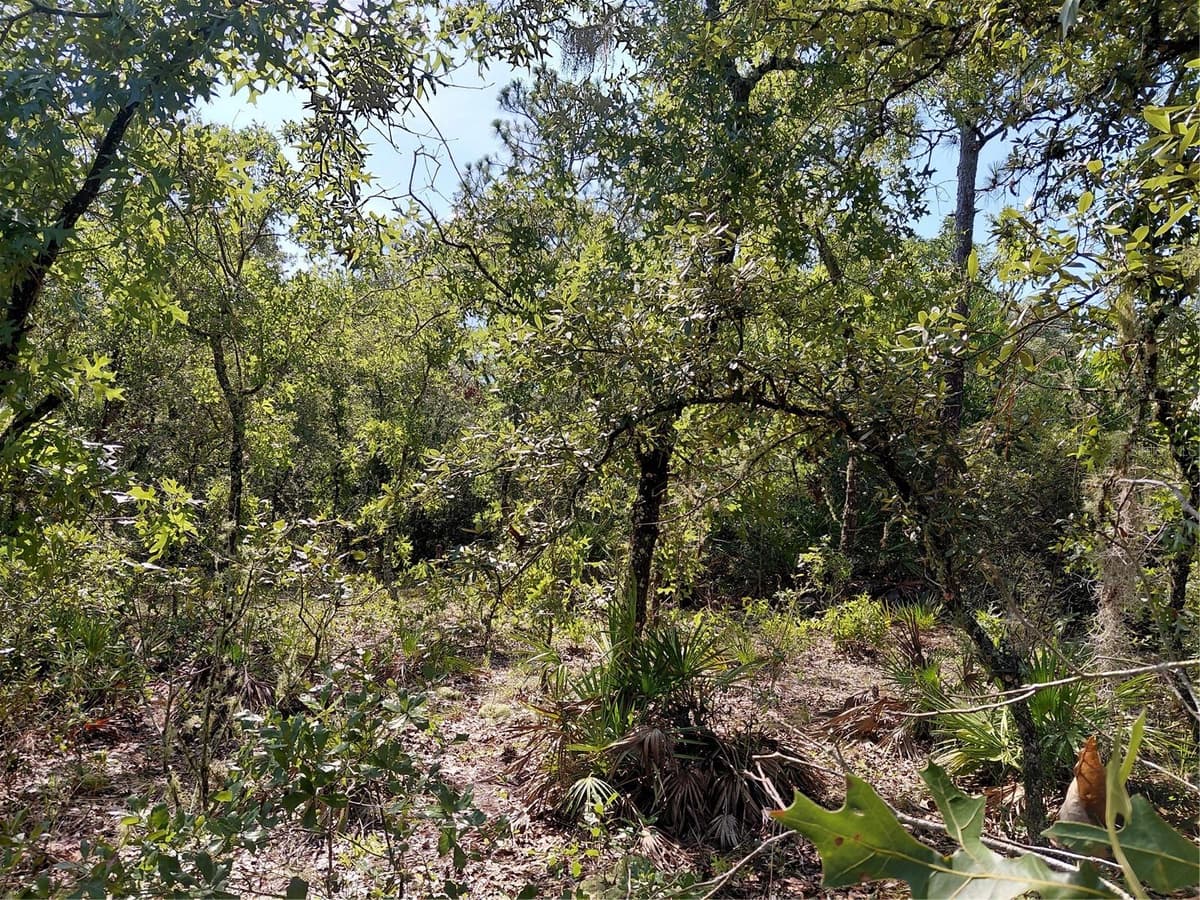 WHEYSTONE DRIVE — photo 11 of 21