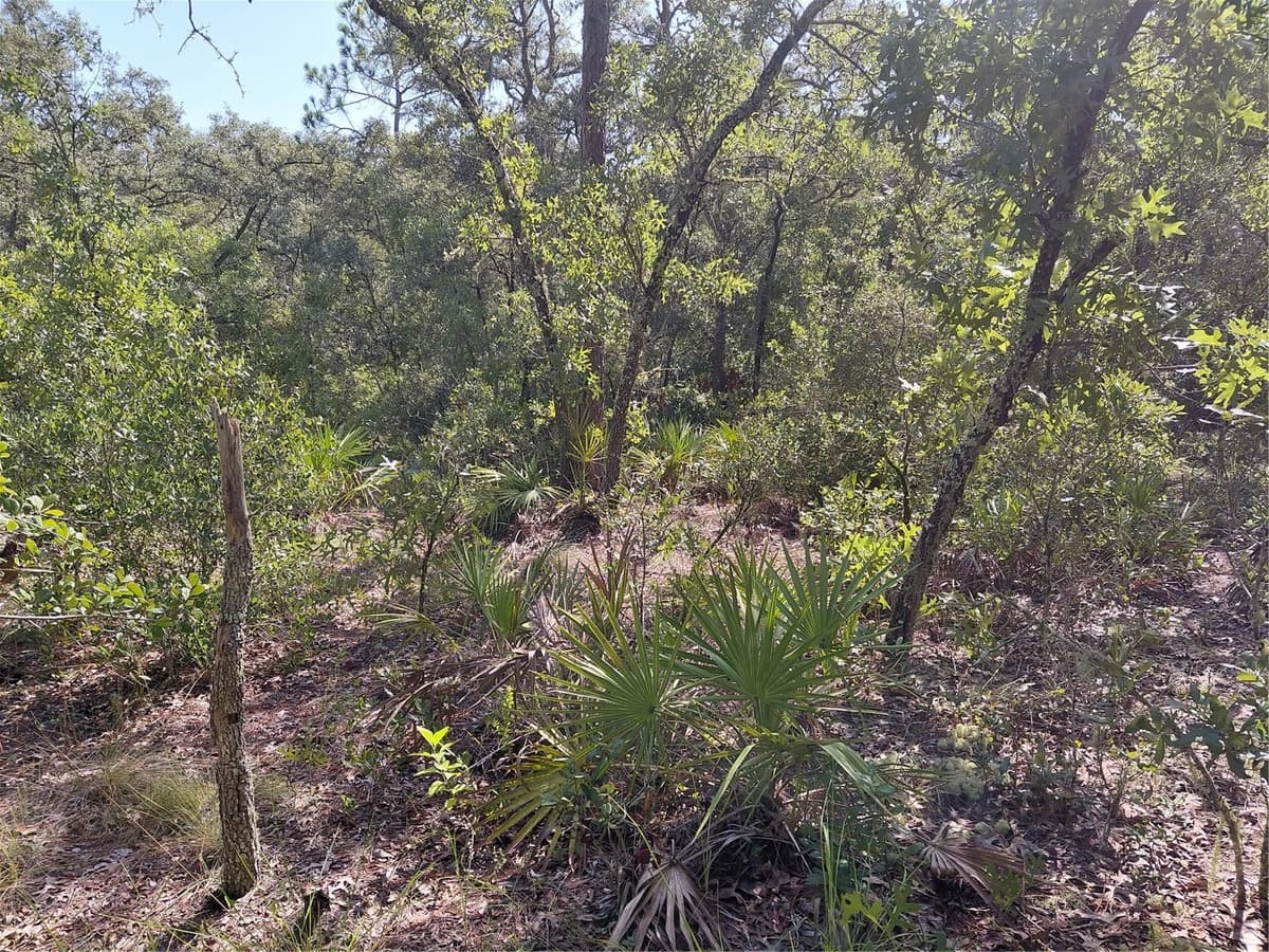 WHEYSTONE DRIVE — photo 12 of 21