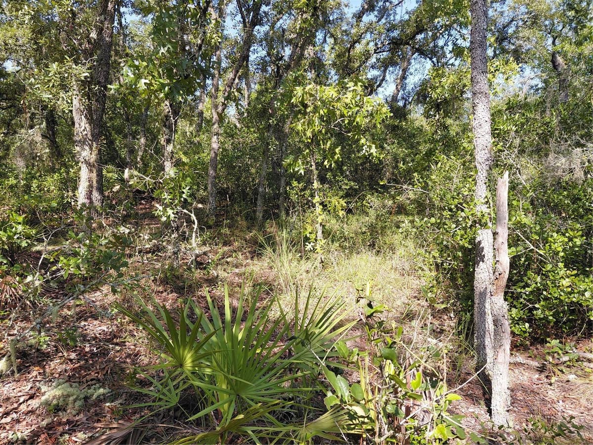 WHEYSTONE DRIVE — photo 9 of 21