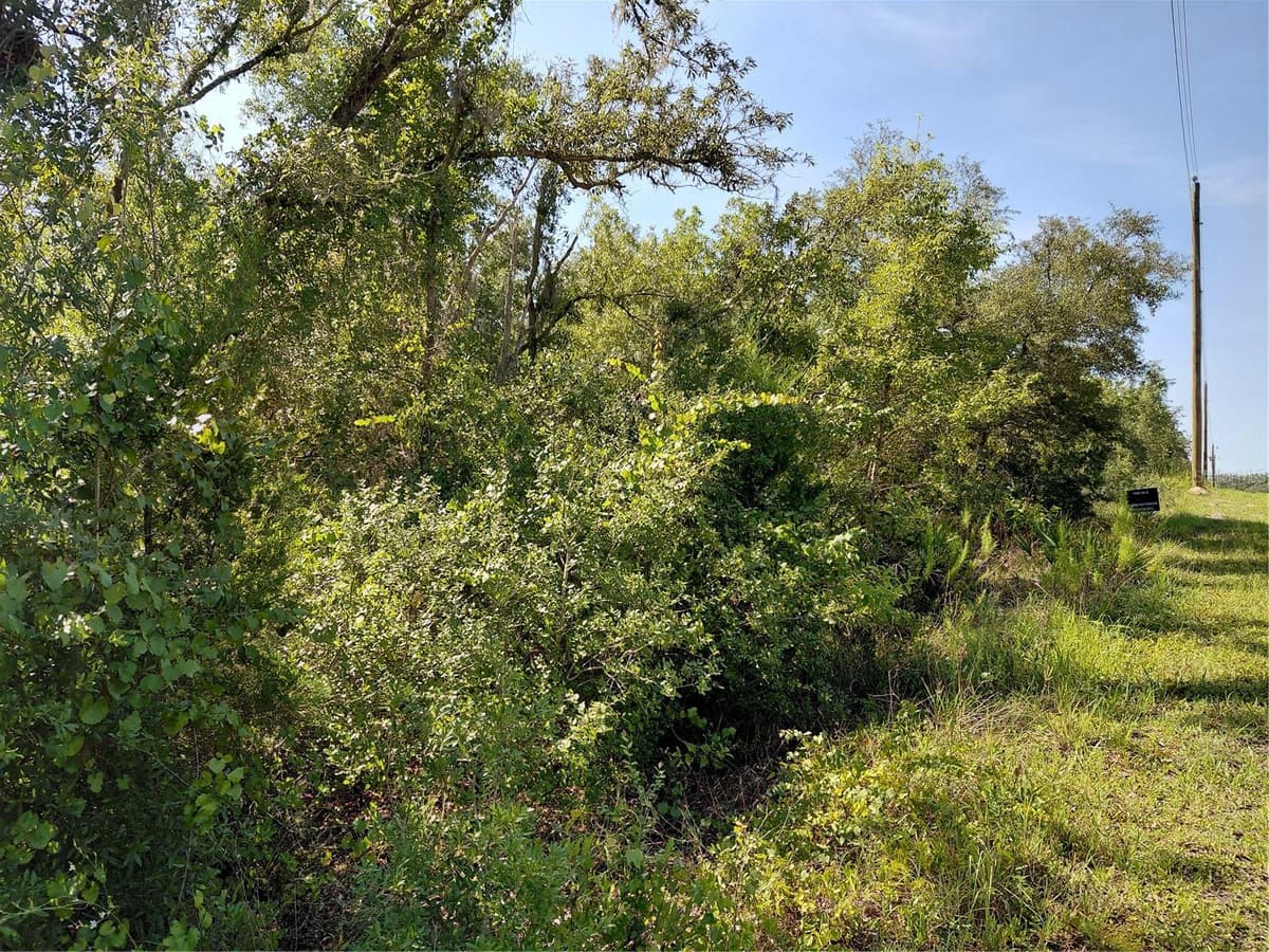 WHEYSTONE DRIVE — photo 3 of 21