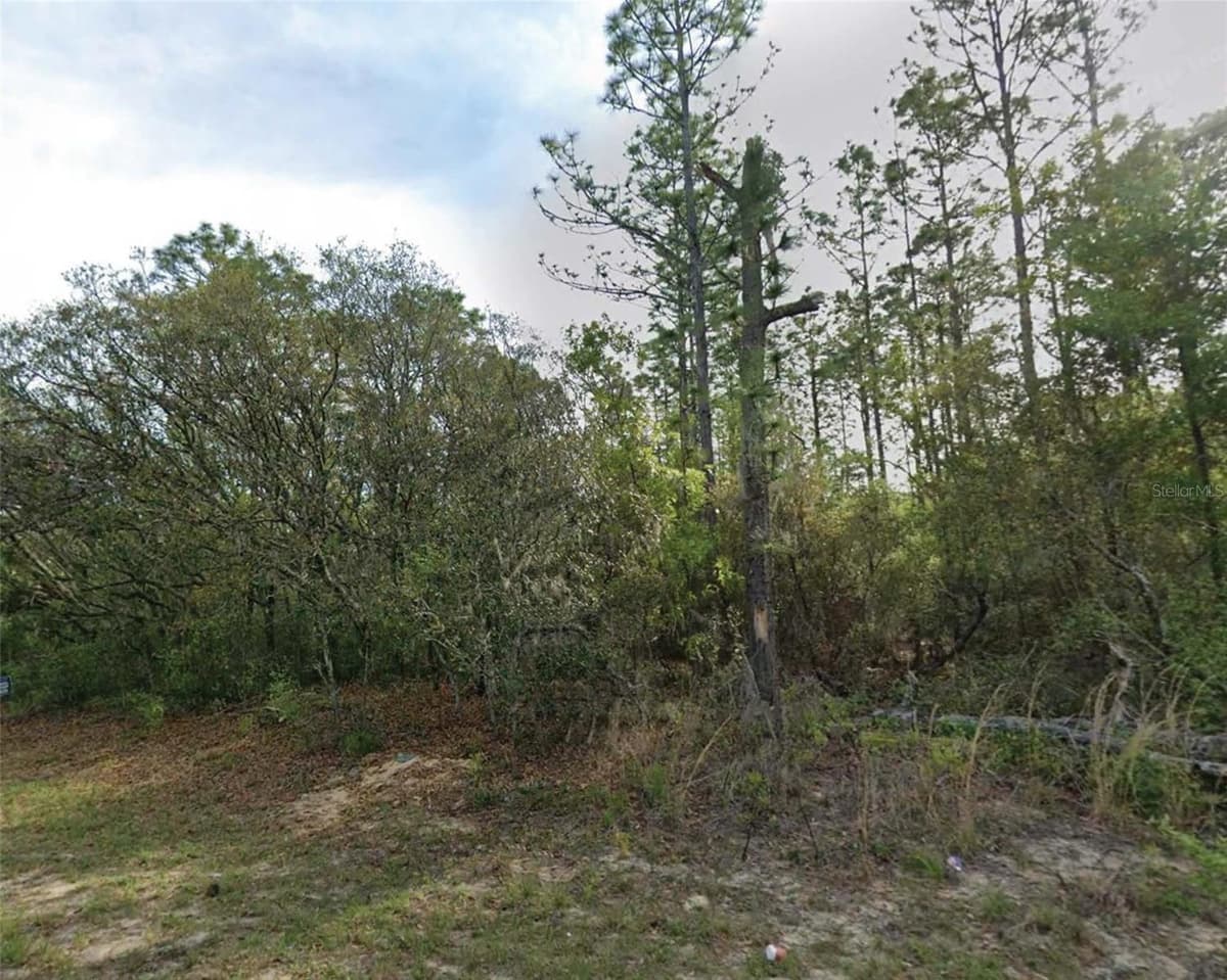 7745 MALTESE DRIVE — photo 1 of 2