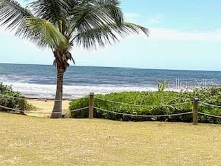 CANDELERO DRIVE PALMAS DORADAS — photo 37 of 53