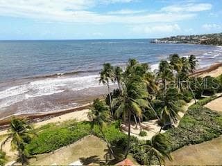 CANDELERO DRIVE PALMAS DORADAS — photo 44 of 53